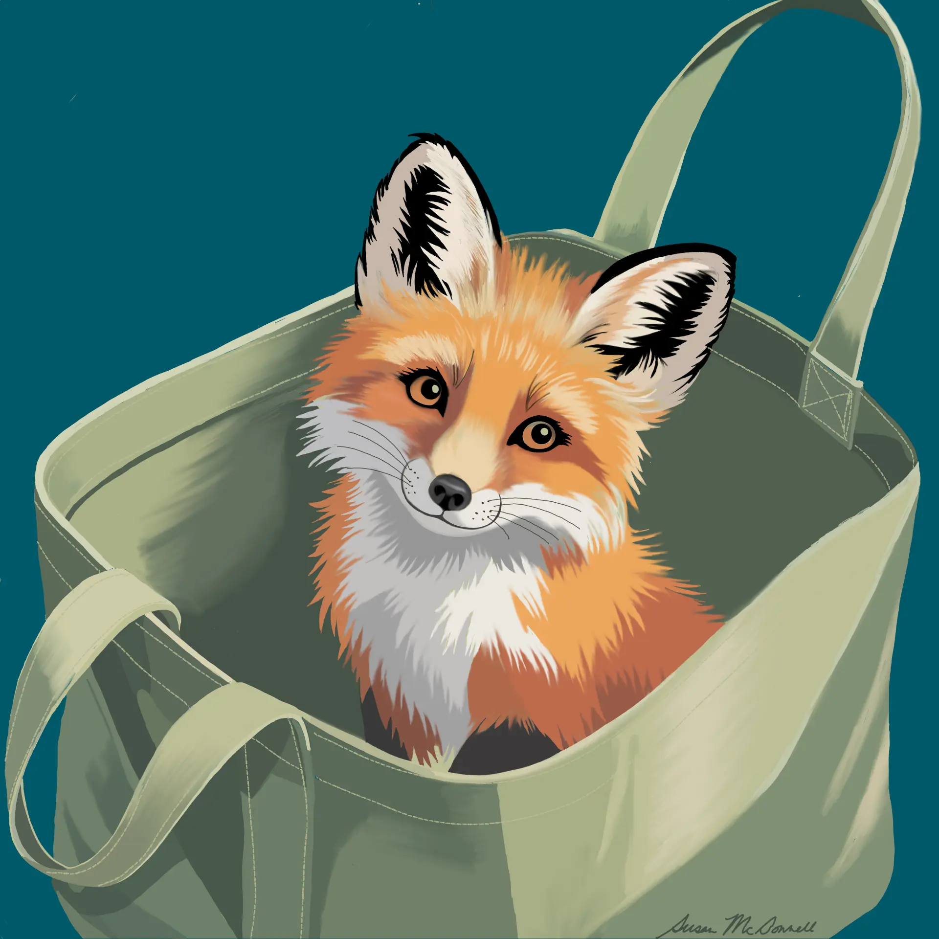 Red fox peeking out of a sage green canvas tote bag on a teal ground